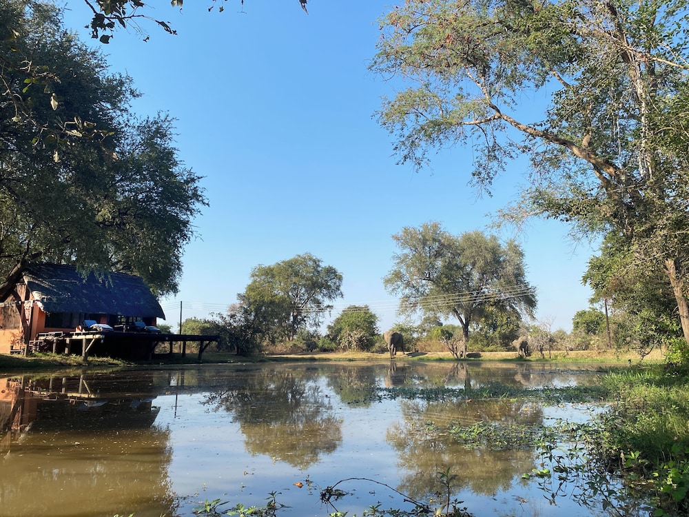 Track and Trail River Camp