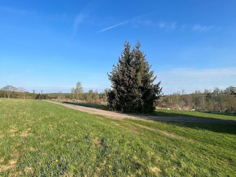 Holiday Home Near Harzgerode With Whirlpool