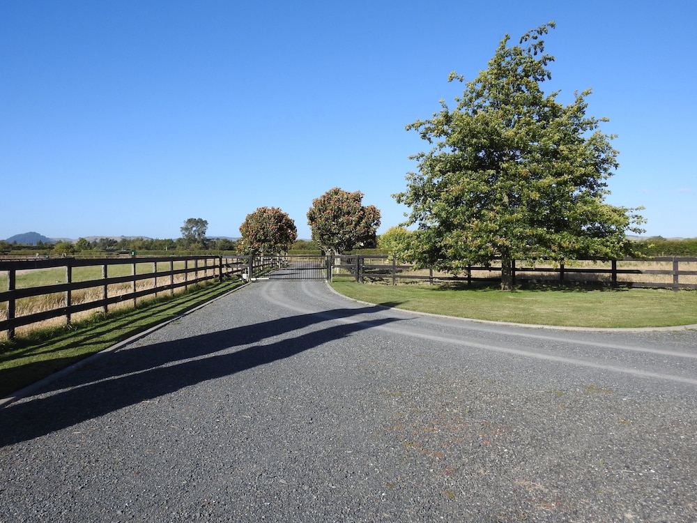 Grasslands Bed & Breakfast, photo 10