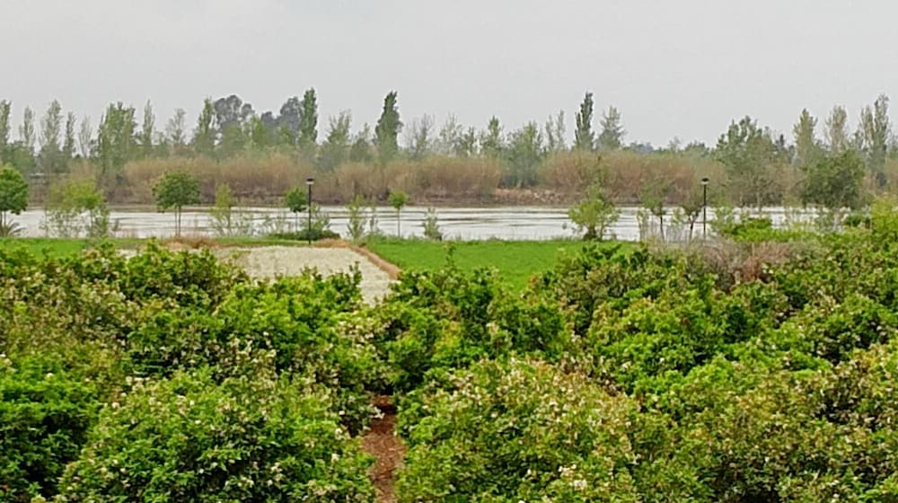 La Caseta del Pitxo in Deltebre
