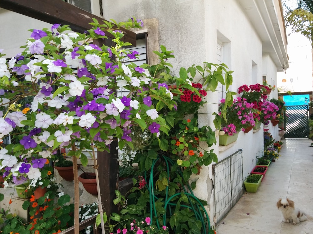 Dekel Guesthouse - Hotel Ramat Gan