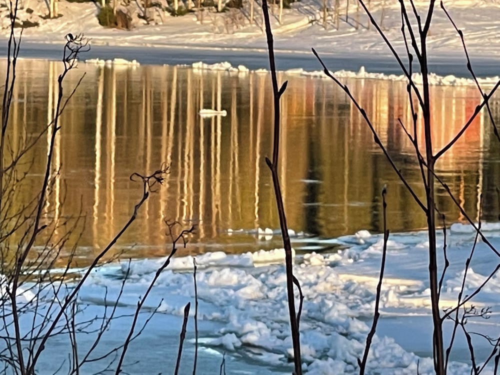 Aava Riverside