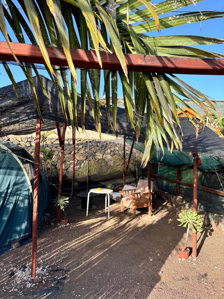Agrocamping Invernaderito