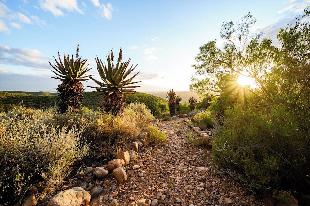 Le Petit Karoo