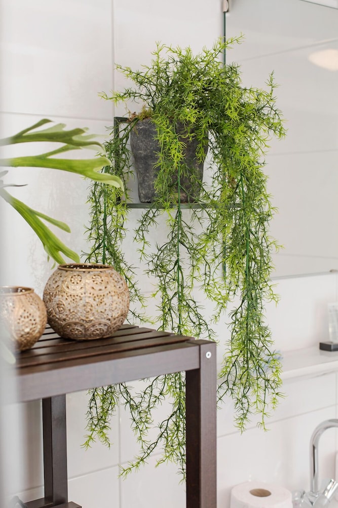 Canal Garden Apartment 11