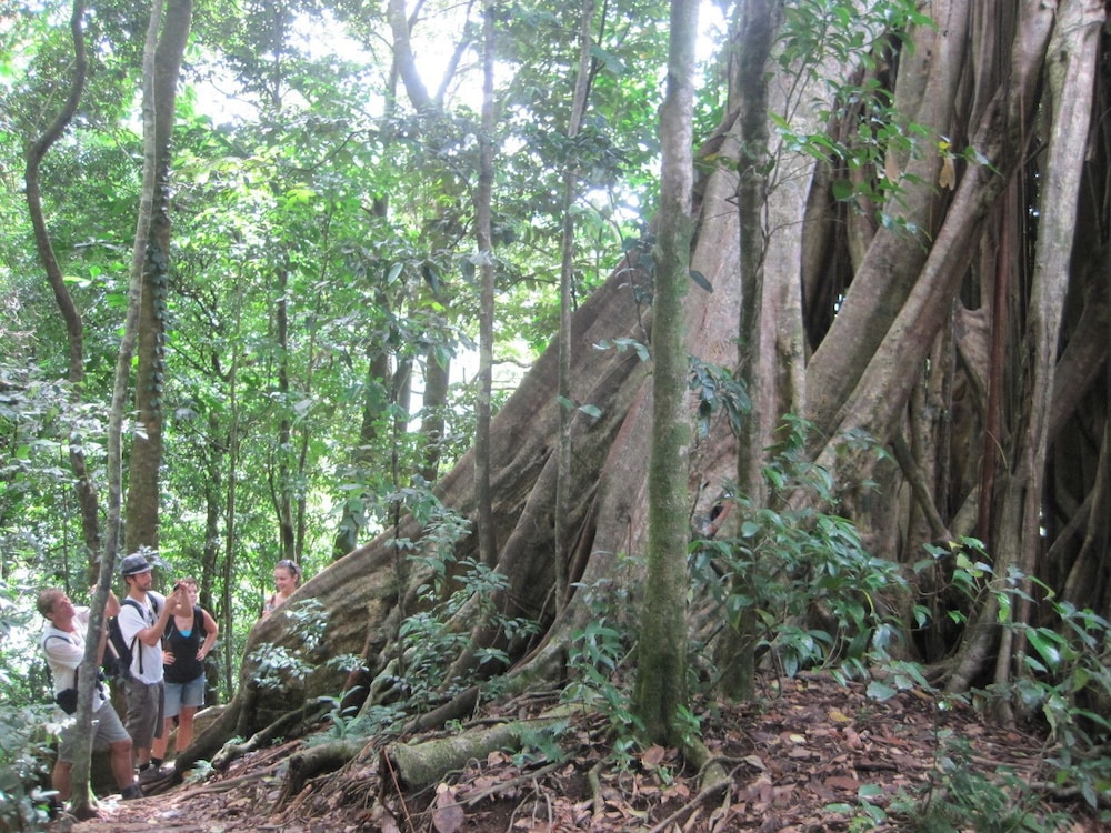 Richmond Vale Diving and Hiking Center - Hostel - Photo 20