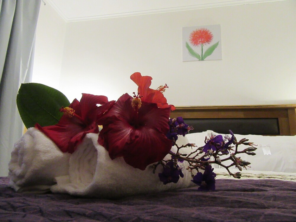 Photo 47
