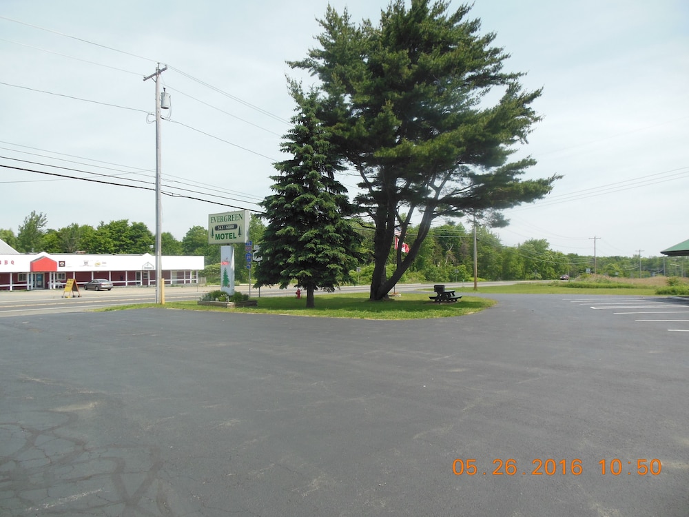 The Evergreen Motel