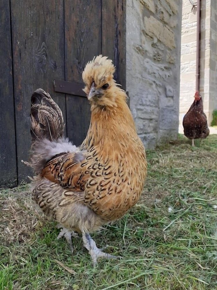 Agriturismo Campo Rosso