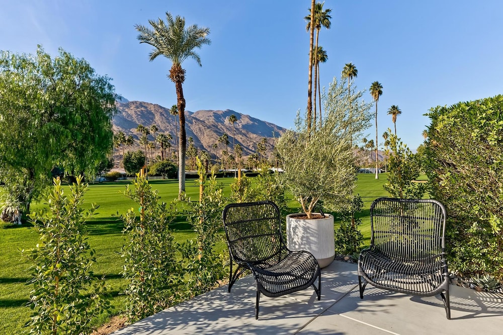 Indian Canyon Oasis in Palm Springs