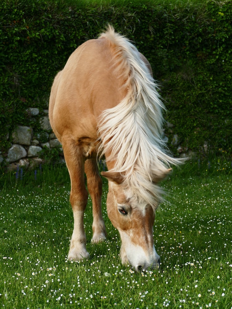 Agriturismo Ai Frati