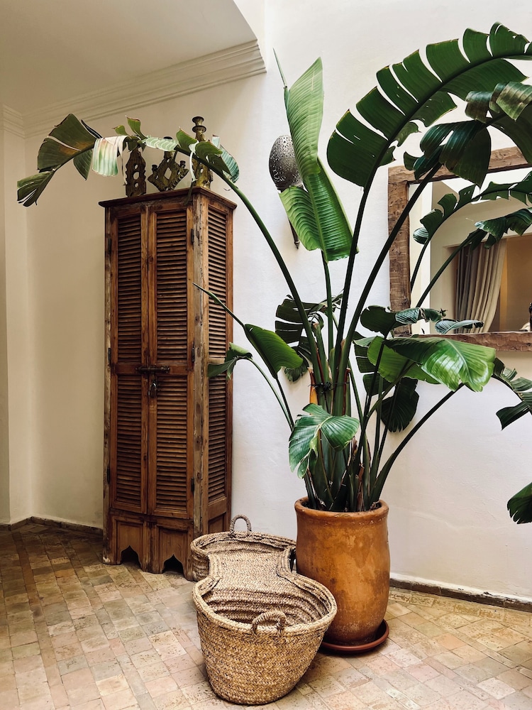 Riad Instant T