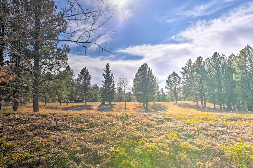 Quaint Angel Fire Townhome: 1/2 Mi to Ski Slopes! view 5