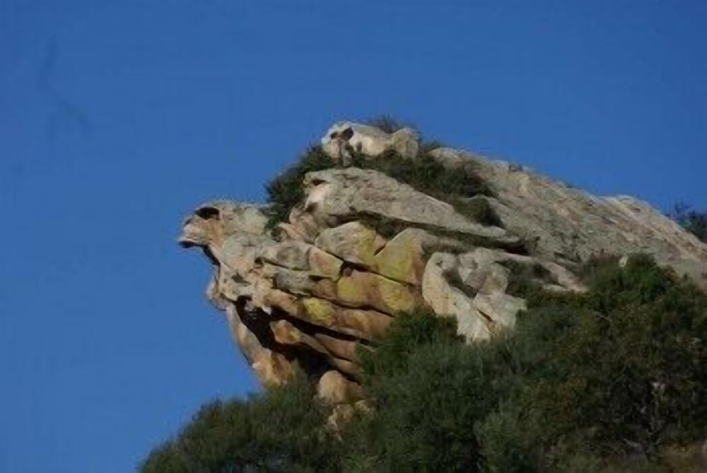 Photo 39