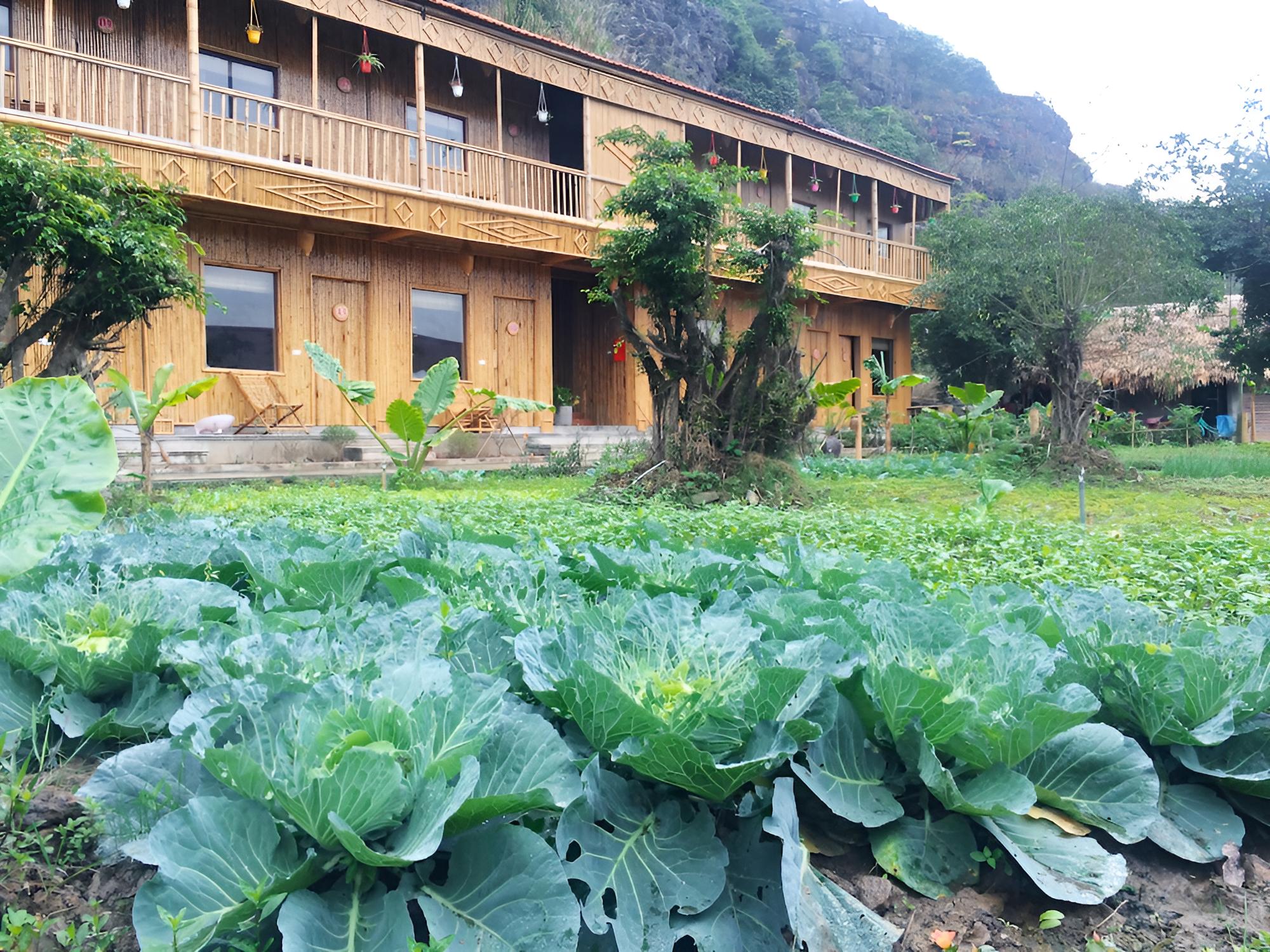 Trang An Lim Garden