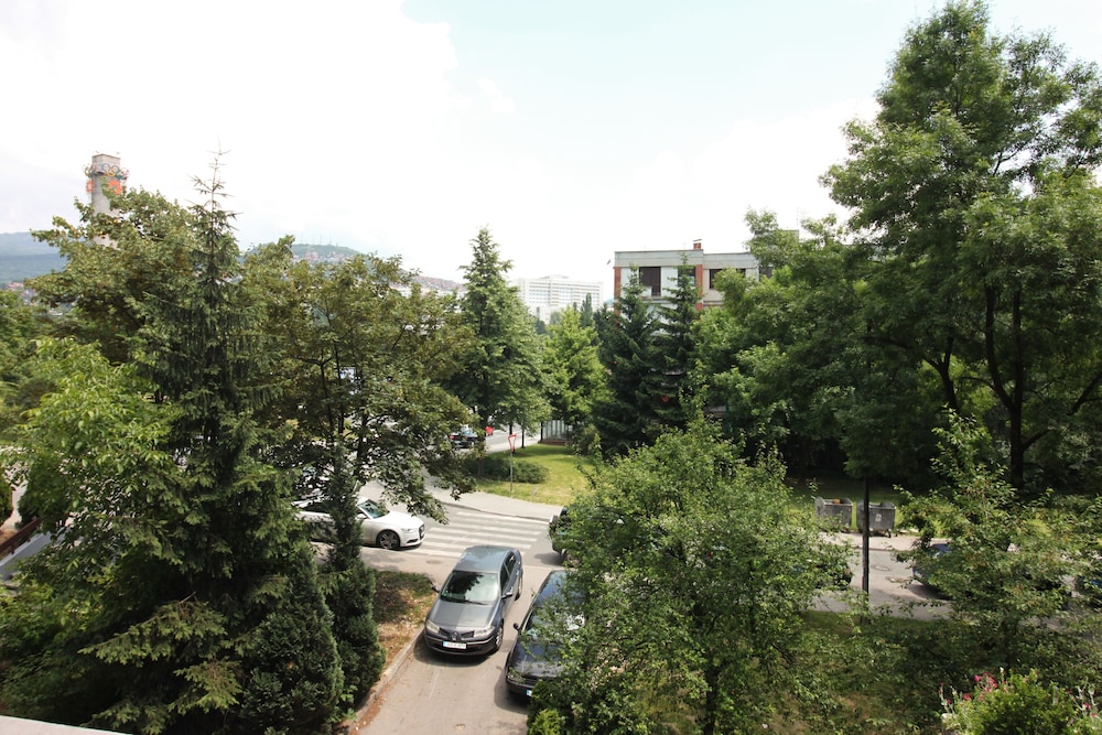 Photo 42