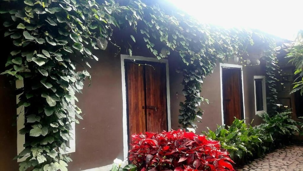 Photo 22