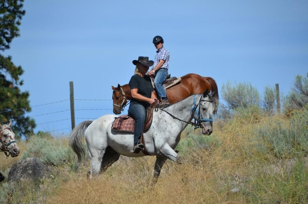 Wildhorse Mountain Guest Ranch