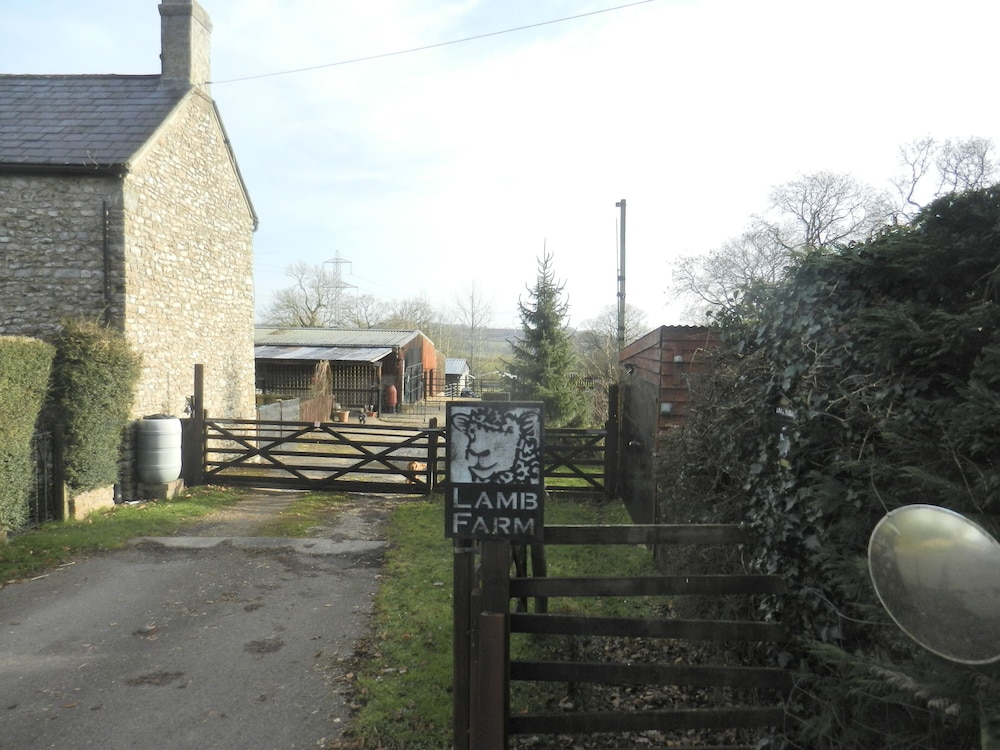Photo 23