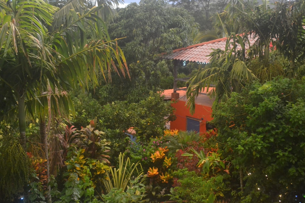 Eden Atenas