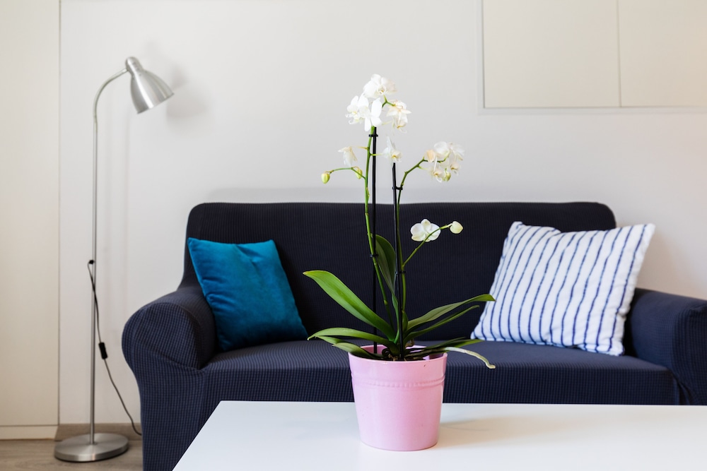 Apartmani Katarina - Frano