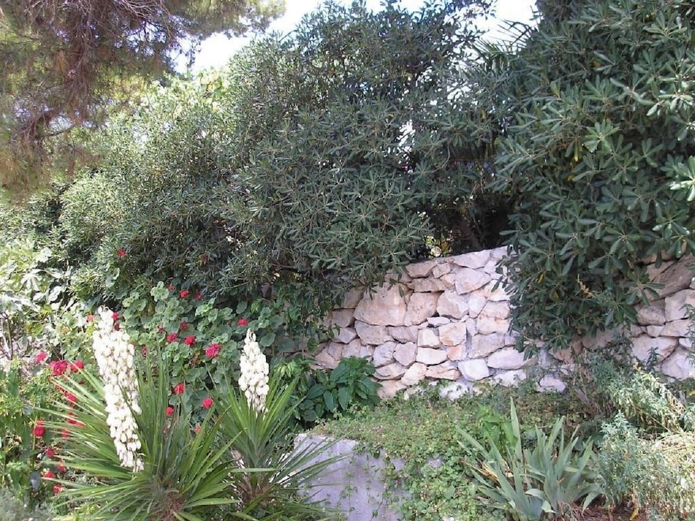 Zelko - With Garden - A1 view 4