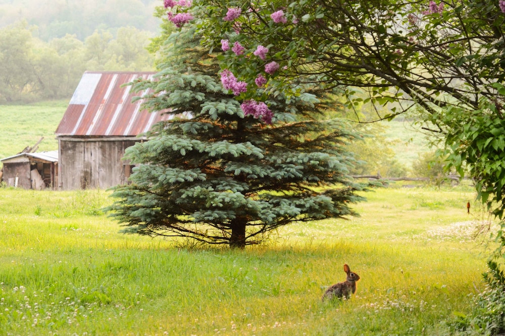Laura's Bed & Breakfast