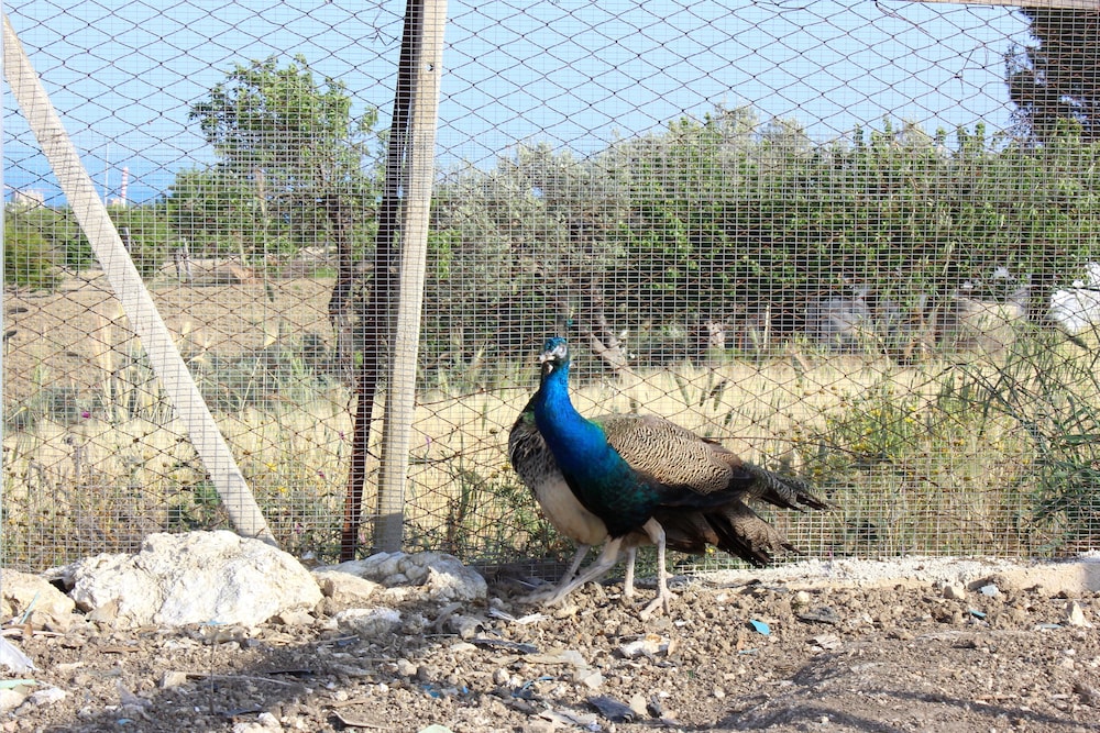 Agriturismo La Casa di Bacco