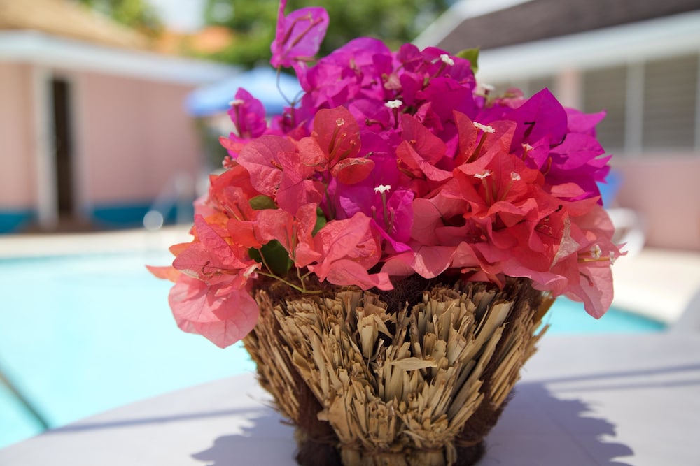 Windjammer, 4BR by Jamaican Treasures