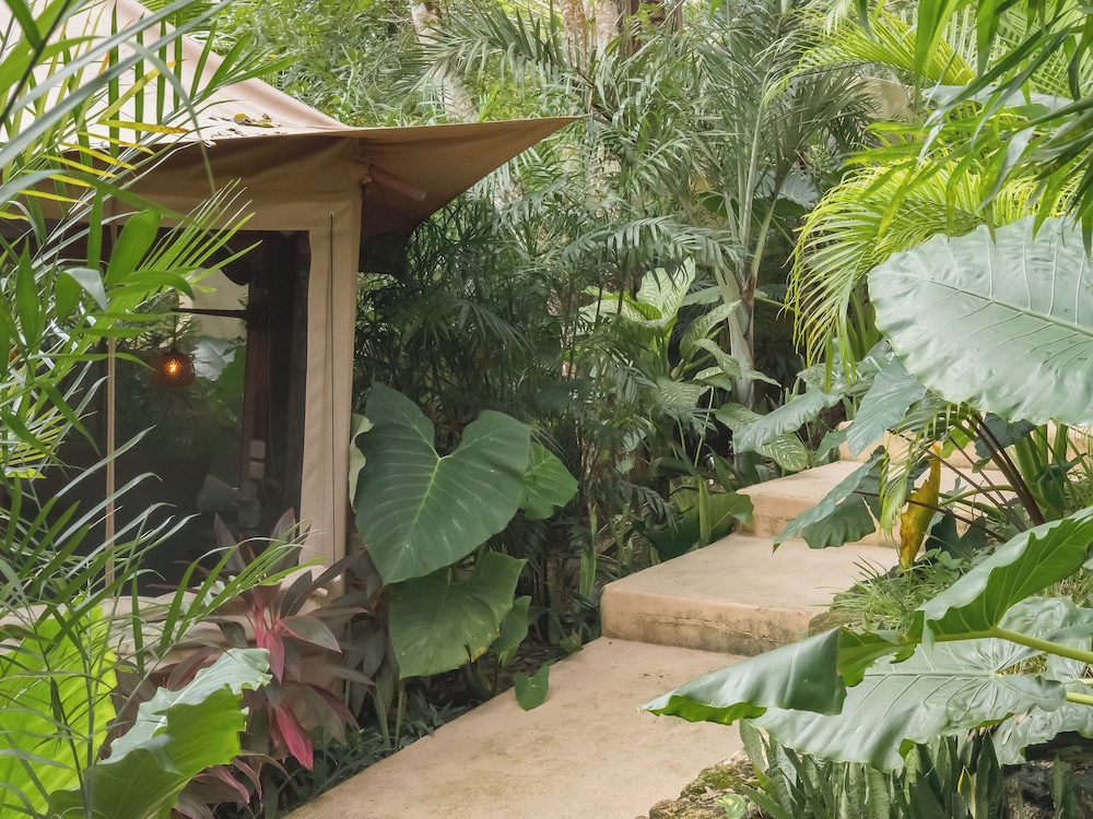 Padma Ha Retreats