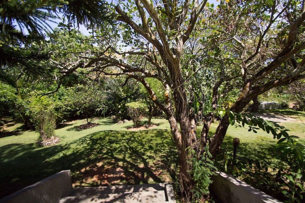 Lemongrass Lodge