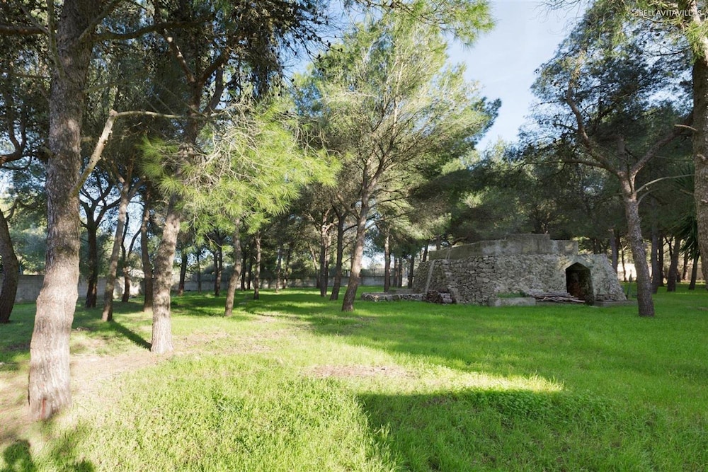 Photo 12