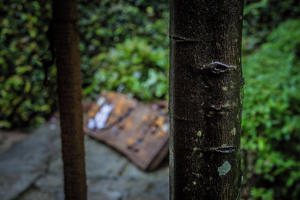 Mingtang Boutique Cottage