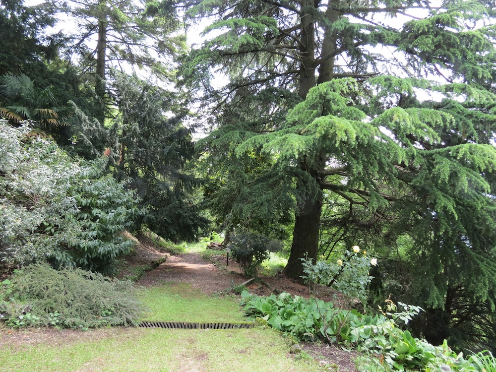 Photo 40
