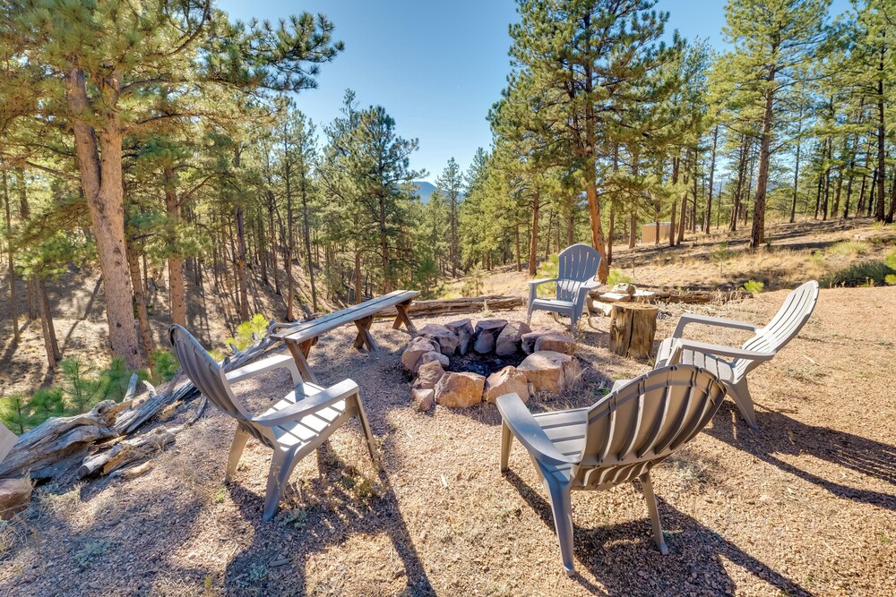 Fish, Hike & Sightsee: Lovely Florissant Cabin!