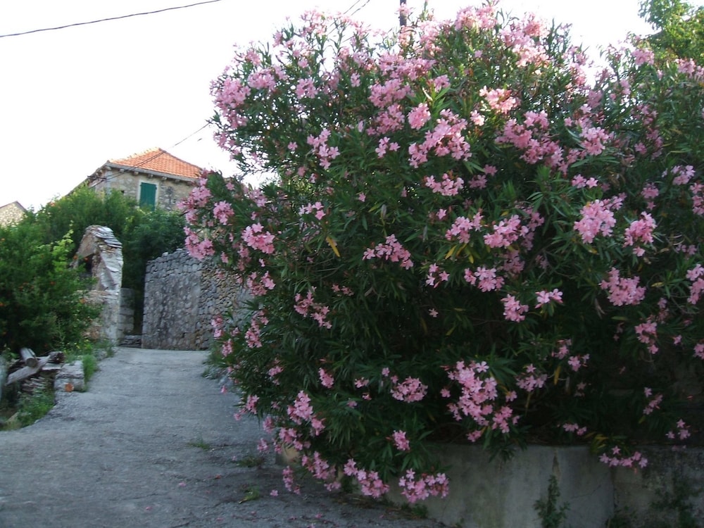 Photo 31