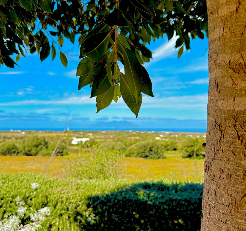 Alencio Panorama Residence