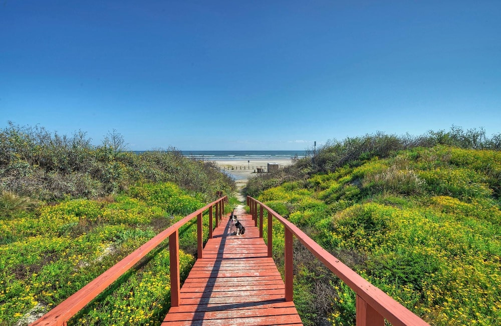 2 Units Beachfront Complex w Pool Pickleball Beach Bliss Bleach Bungalow