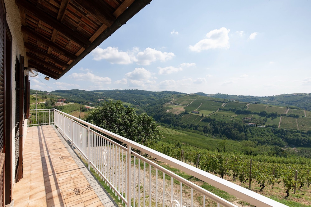 The Grape Pergola House