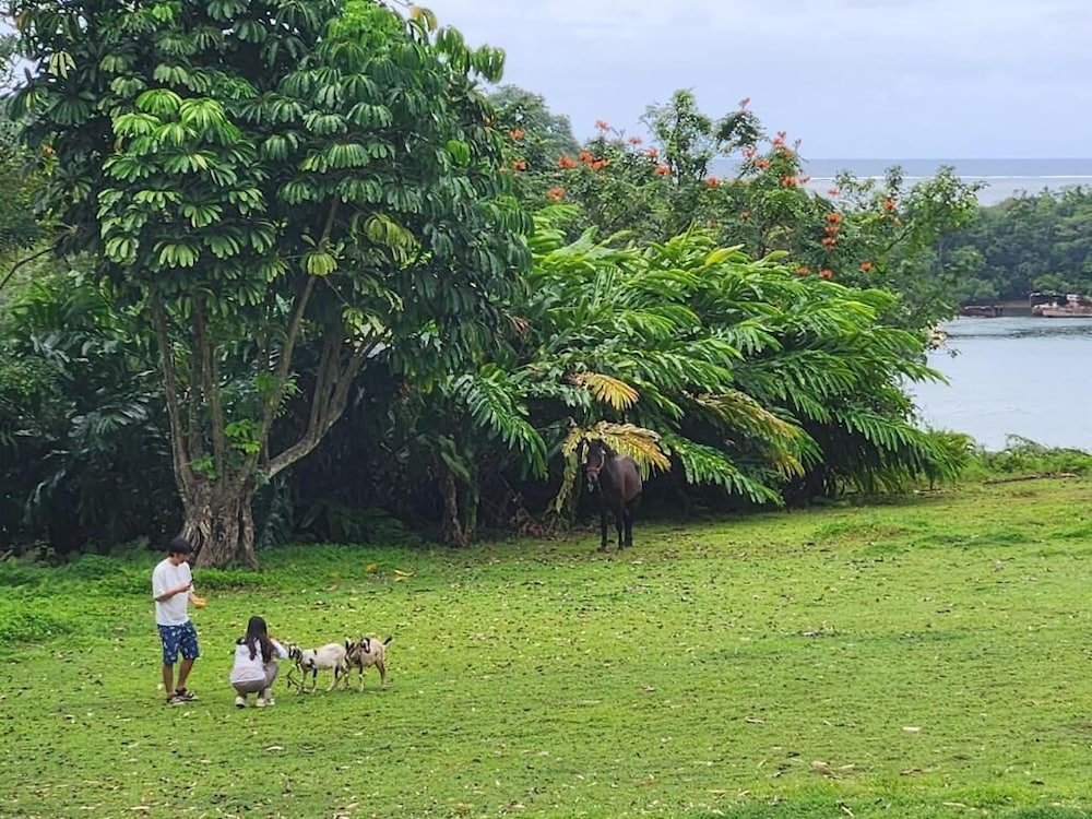 Suva Hideaway Villa