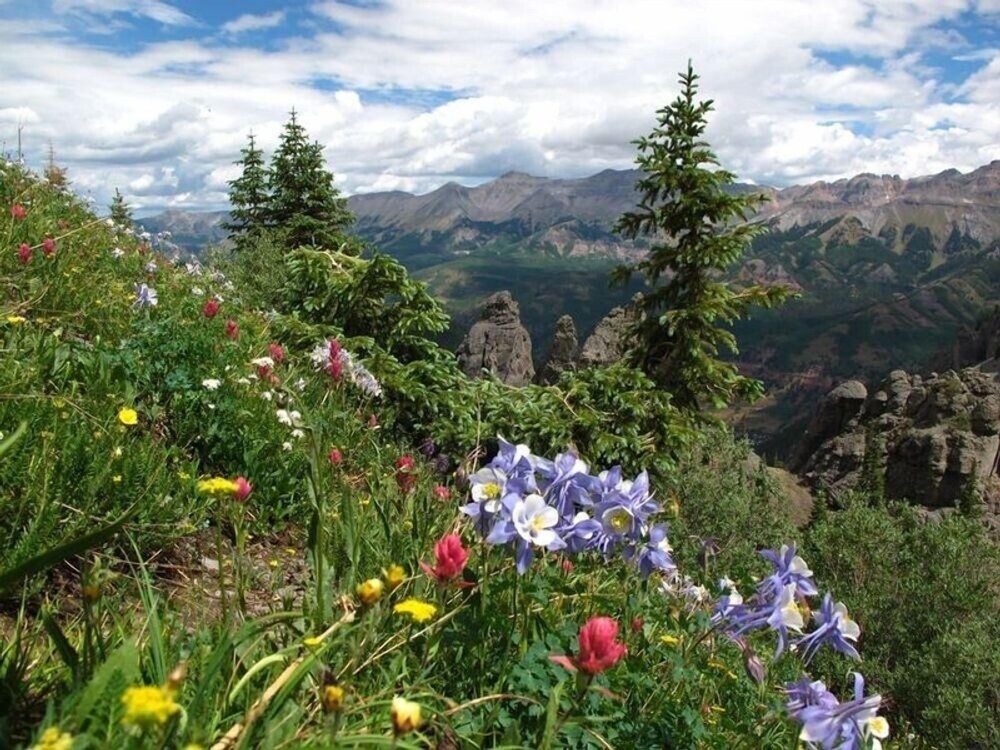 Telluride Ski Resort CO - Vacation Rentals