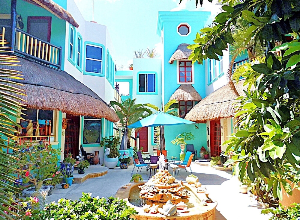 Casa Gatos
