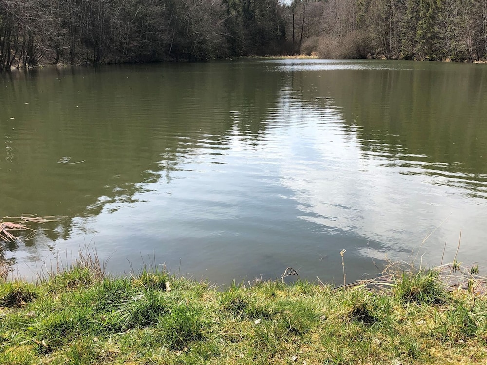 Holiday Home Near Harzgerode With Whirlpool