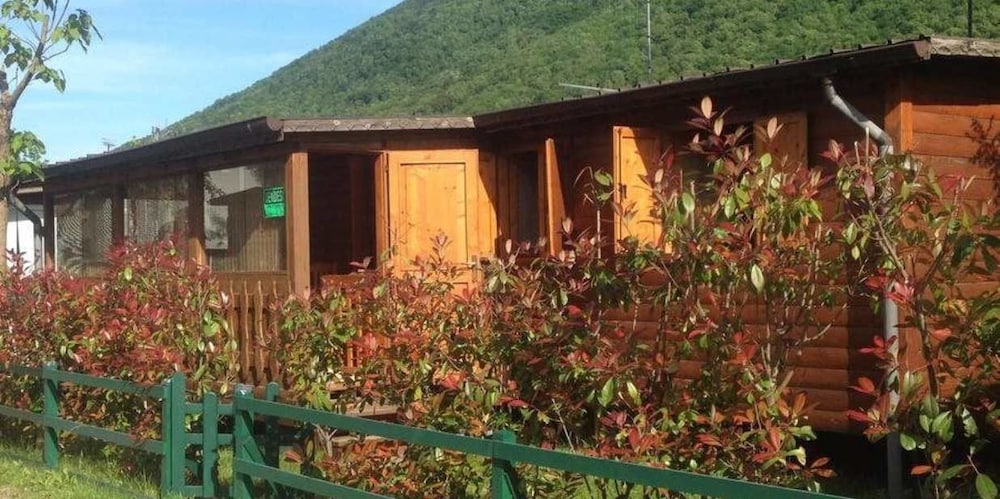 International Camping