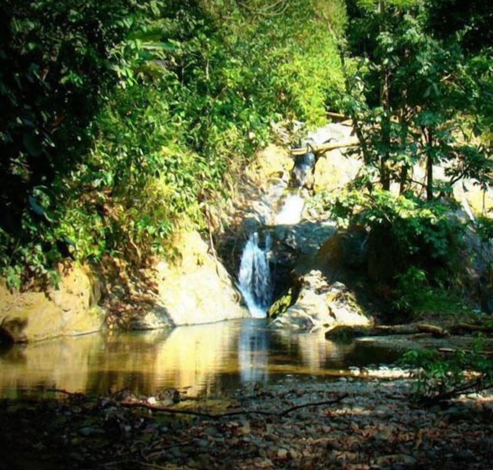 La Gamba Rainforest Lodge
