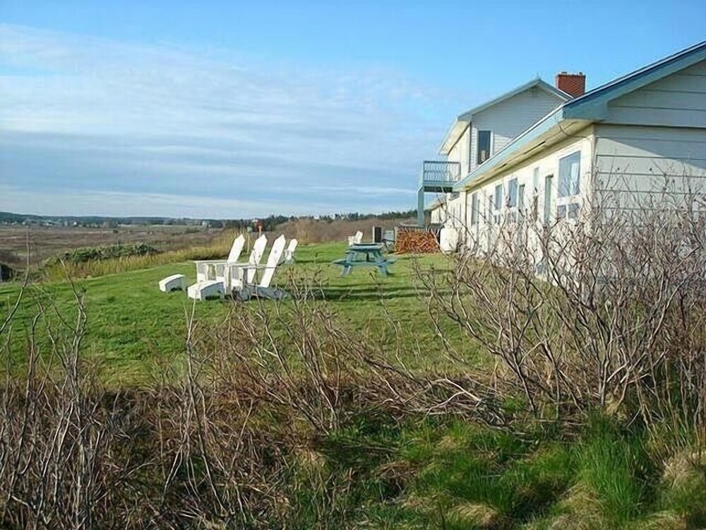 Photo 45