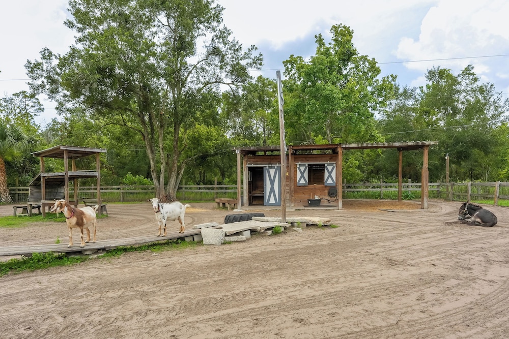 Farmhouse Hideaway w/ Covered Patio in Kissimmee