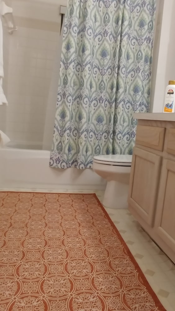 Florida Villa — photo 4