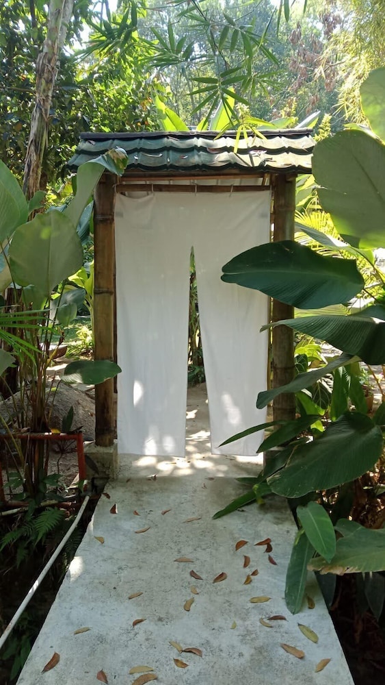 hijau