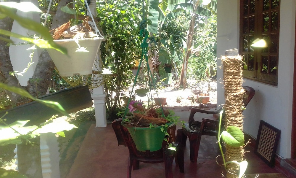 Elephant Safari Lodge